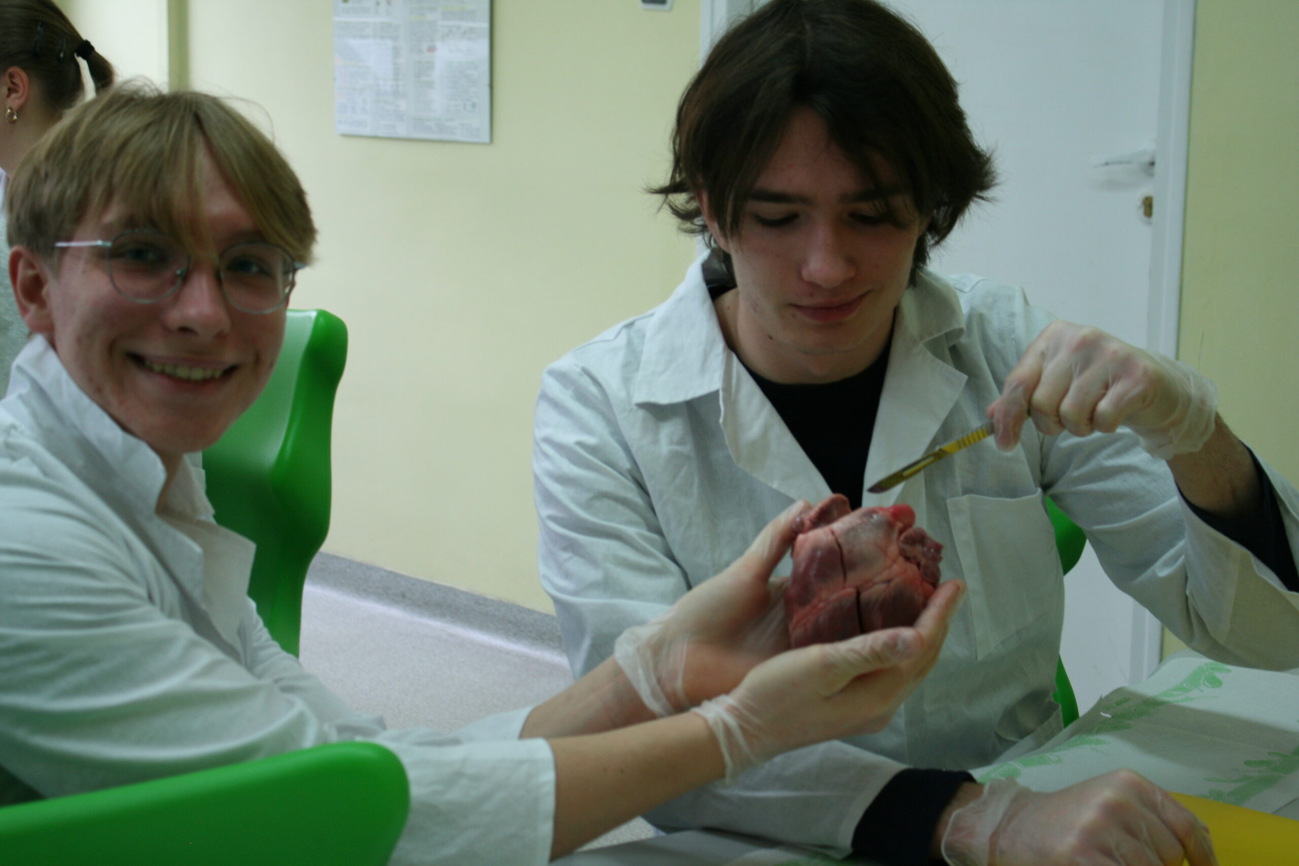 Uczniowie klas trzecich przygotowują doświadczenia z narządami, min. sercem