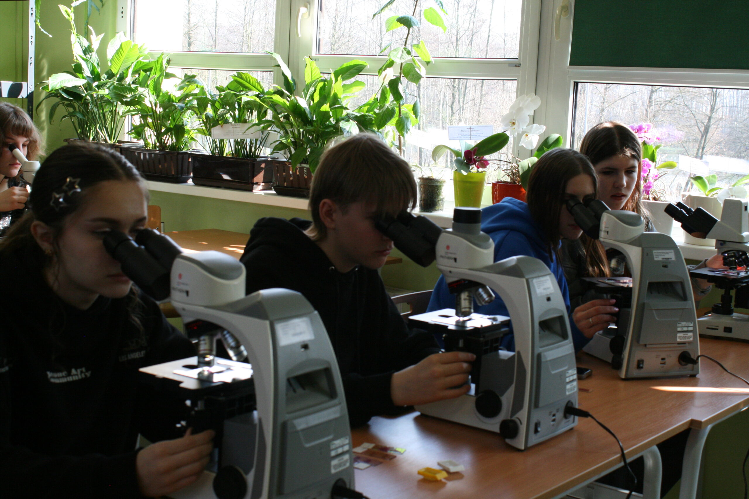 Uczniowie w sali biologicznej, przygotowują doświadczenia, uczniowie przy mikroskopach